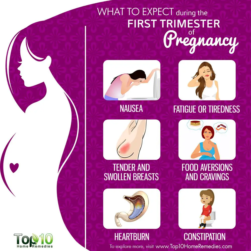 What to Expect During the First Trimester of Pregnancy