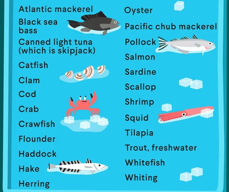 What Types Of Seafood Are Safe During Pregnancy ...