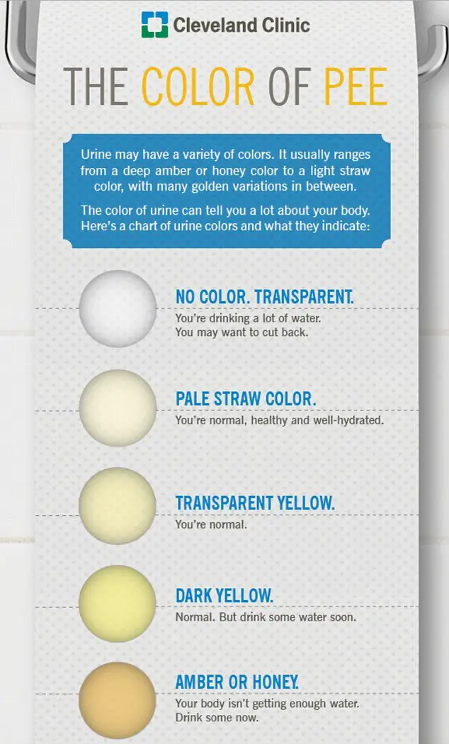 What your PEE says about your health: A clear stream means you