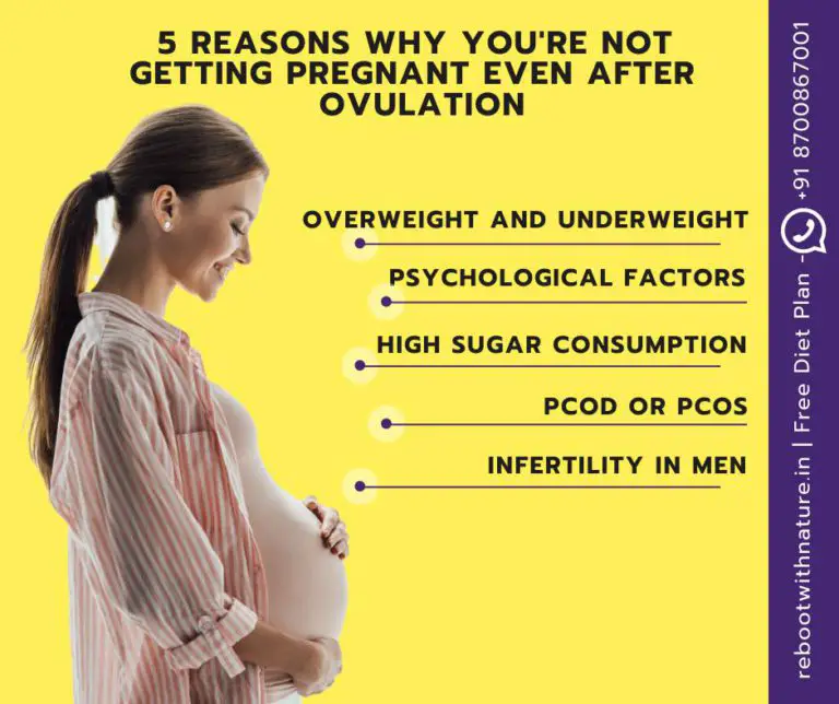 Why I am not getting pregnant even though I am ovulating? 12 tips to ...