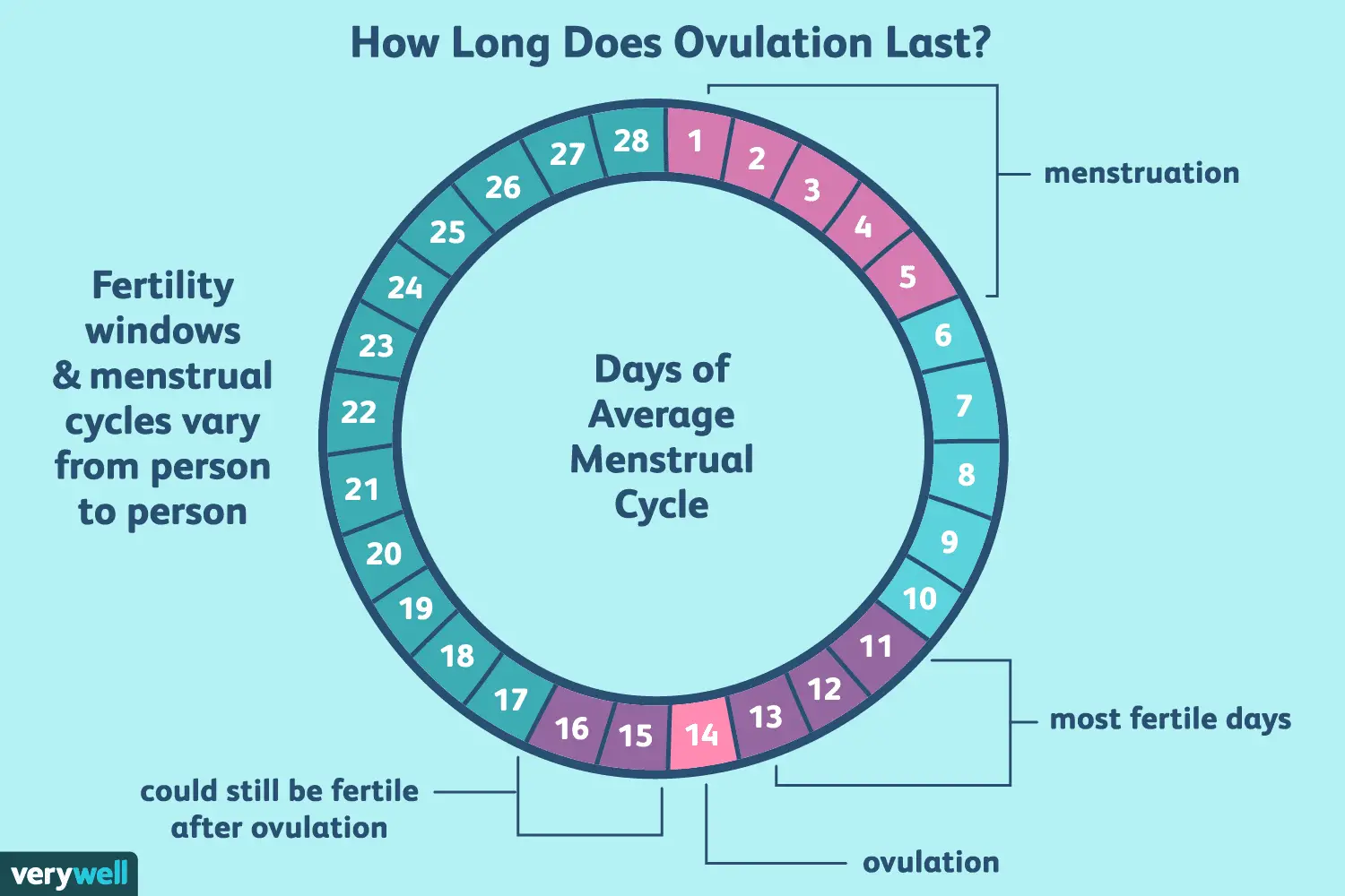 Why you need to track your ovulation cycle if youre ...