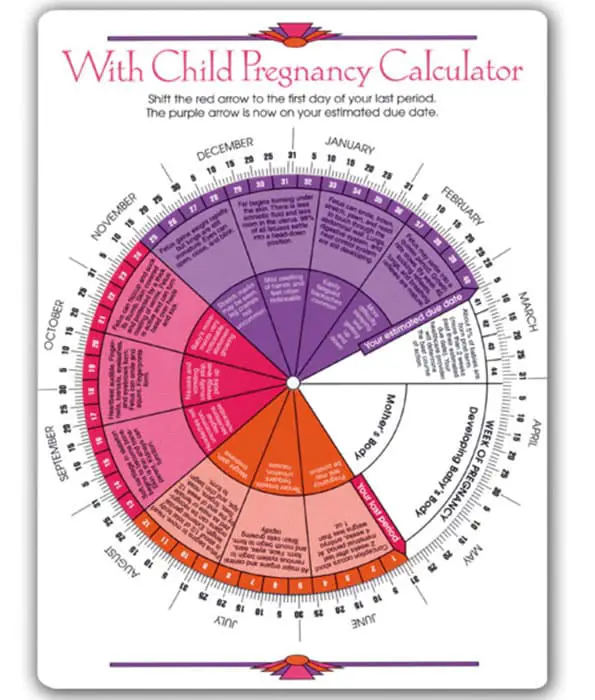 Your Pregnancy Calculator  Pregnancy Birth and Beyond